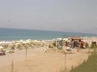 芭莉丝刊酒店 3*